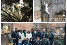 Photo of “El olor era horrible”: hombre tenía 27 perros maltratados en su hogar en Nueva York