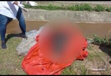 Photo of Encuentran cuatro cadáveres en río y canales de riego de Montecristi y Dajabón